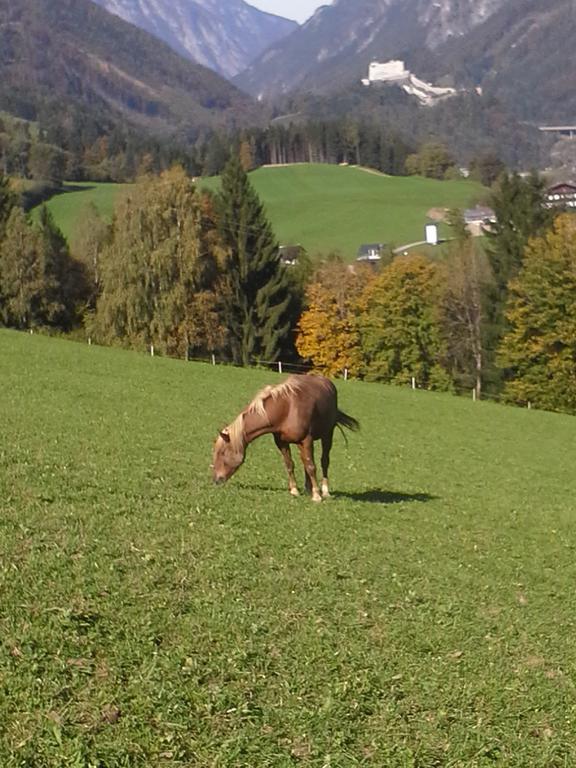 Unterschwabegghof Appartement Werfen Buitenkant foto