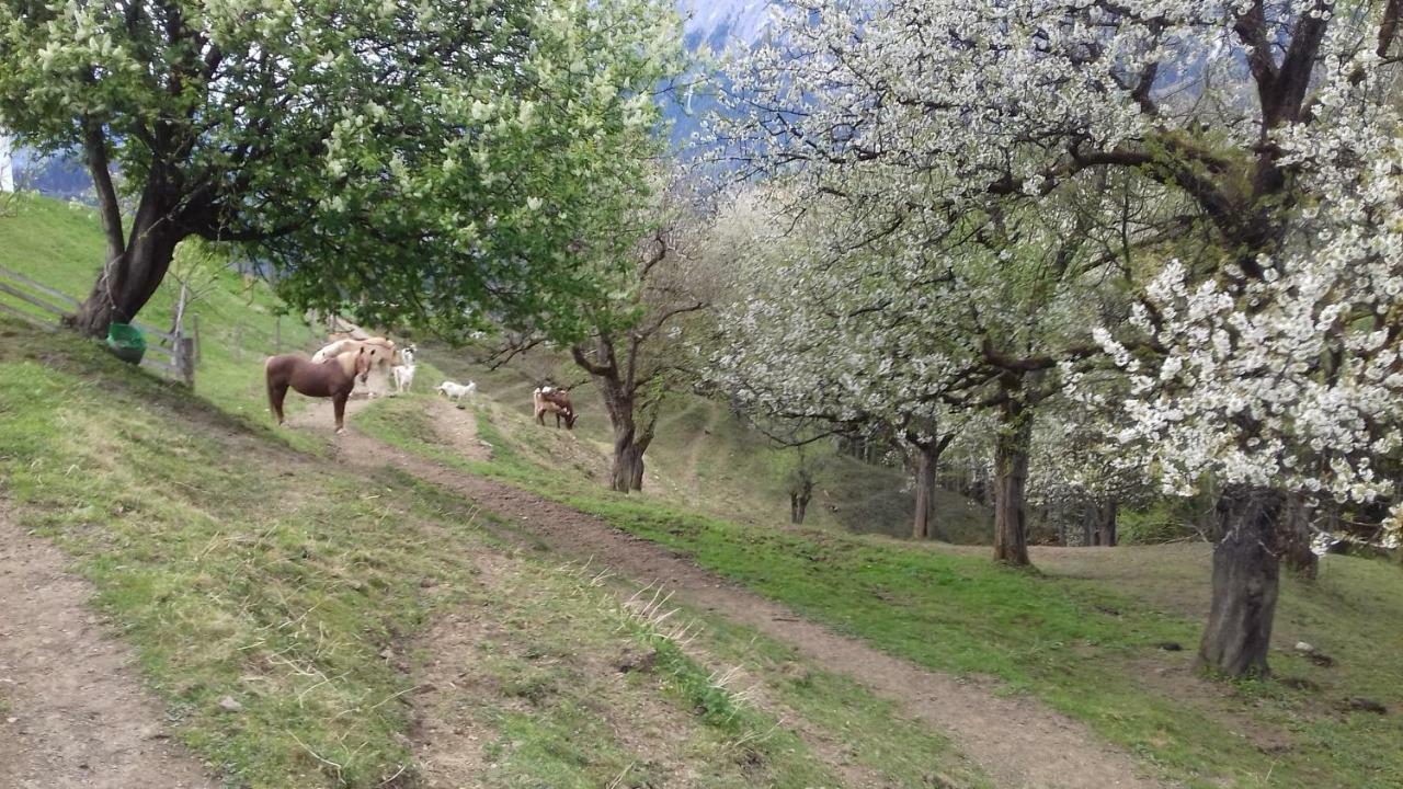 Unterschwabegghof Appartement Werfen Buitenkant foto