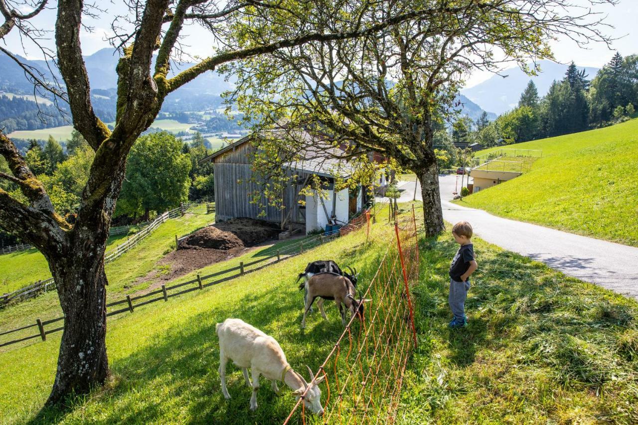 Unterschwabegghof Appartement Werfen Buitenkant foto